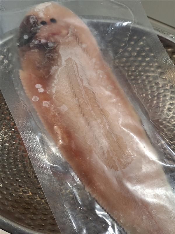 KakaoTalk_20260516_220225856.jpg